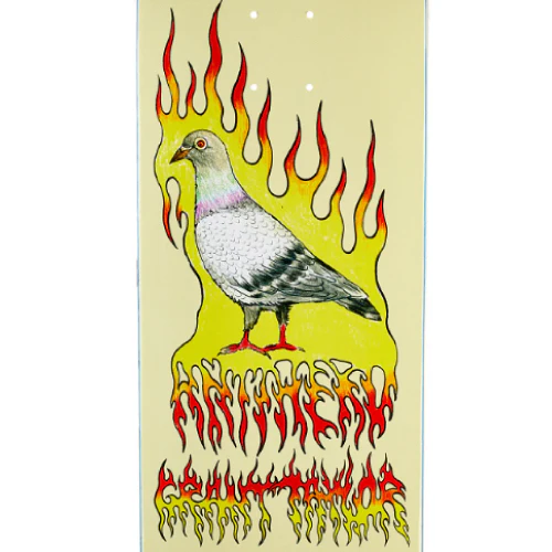 Antihero Grant Pigeon Vision Skateboard Deck 8.5" - Image 2