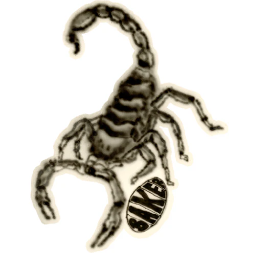 Baker Skulls N Stuff Stickers - Image 3