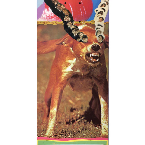 Baker T-Funk Shrapnel Skateboard Deck 8.25" - Image 2
