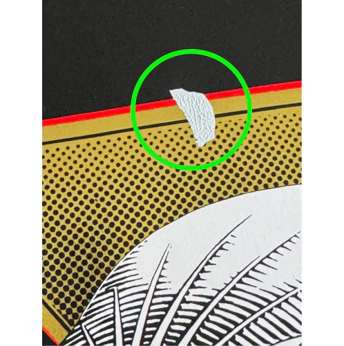 *BLEMISH* Powell Peralta Bones Brigade Series 16 TONY HAWK Black/Gold Foil Deck 10.38" - Deck #2 - Image 3