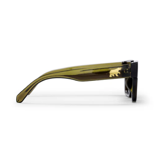 CHPO Max Sunglasses - Image 14