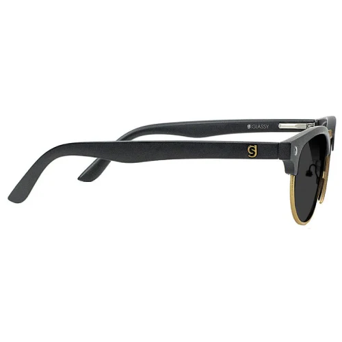 Glassy Morrison Polarized Sunglasses - Image 7