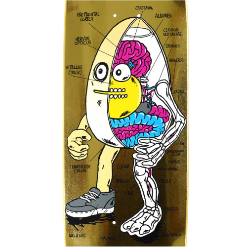 Heroin Anatomy Egg Symmetrical Skateboard Deck Gold Foil 8.75" - Image 2