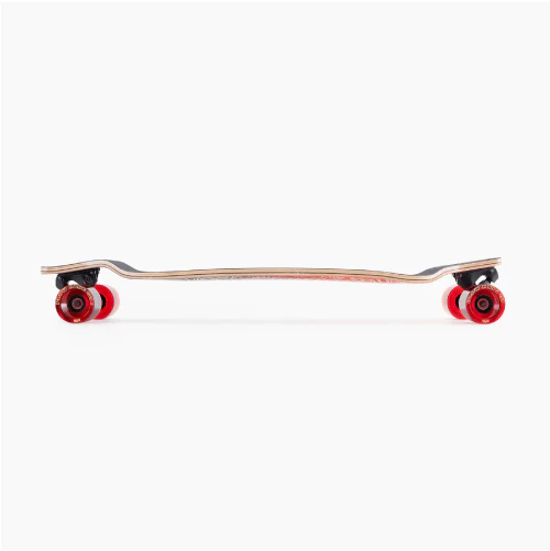 Landyachtz Evo 36 Bear Complete 36" - Image 3