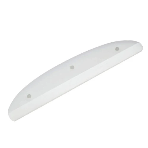 Powell Peralta Tail Bone 8" - Image 7