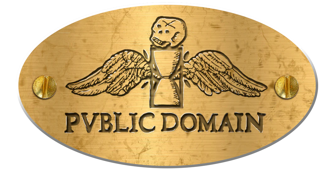 Pvblic Domain Last Judgment Griptape - Image 4
