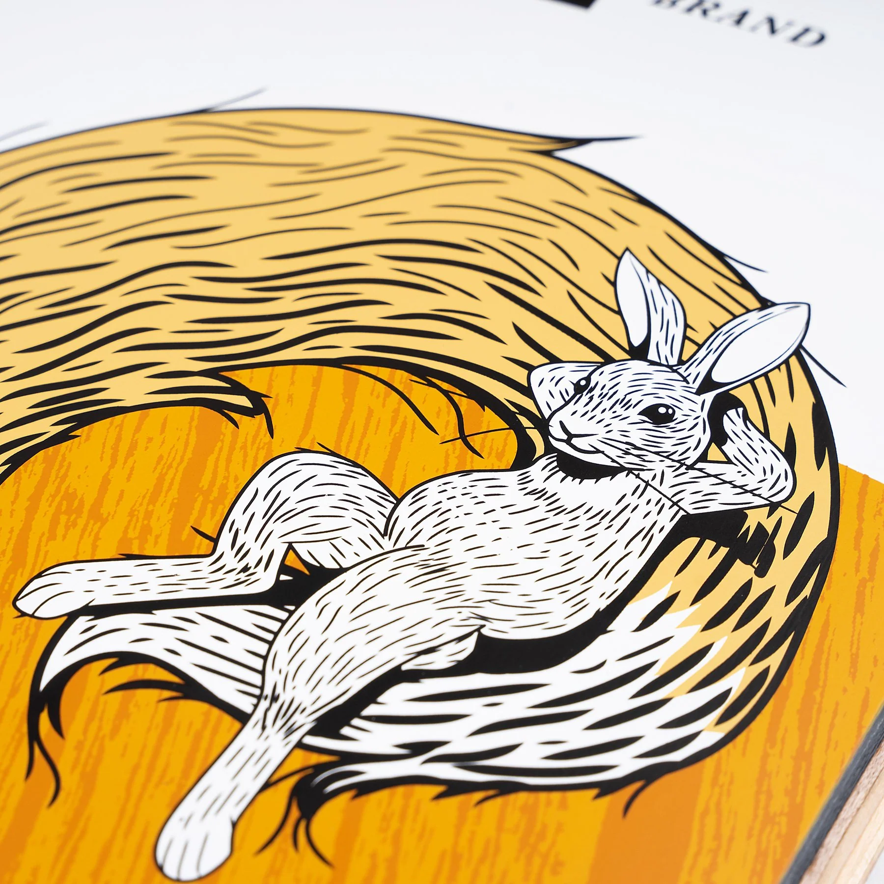 Sector 9 Bintang Fox Complete Longboard 38" - Image 7