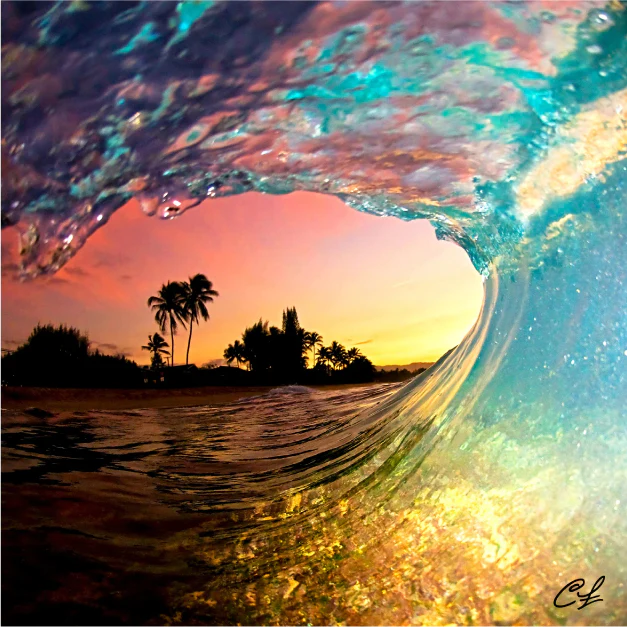 Sector 9 Fractal Shave Ice Sidewinder Longboard Complete 36" - Image 10